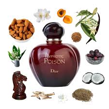 Hypnotic Poison Dior for women